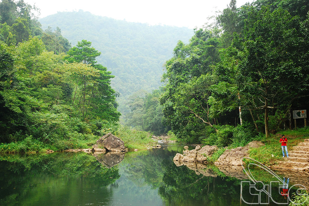 Bac Giang