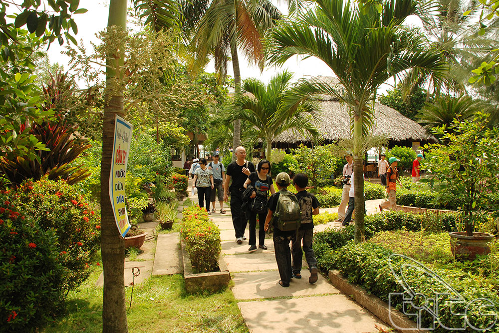 Cồn Phụng (Cồn Đạo Dừa)