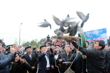  Le concours de lâcher de pigeons 