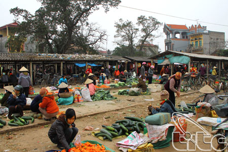 Countryside Market