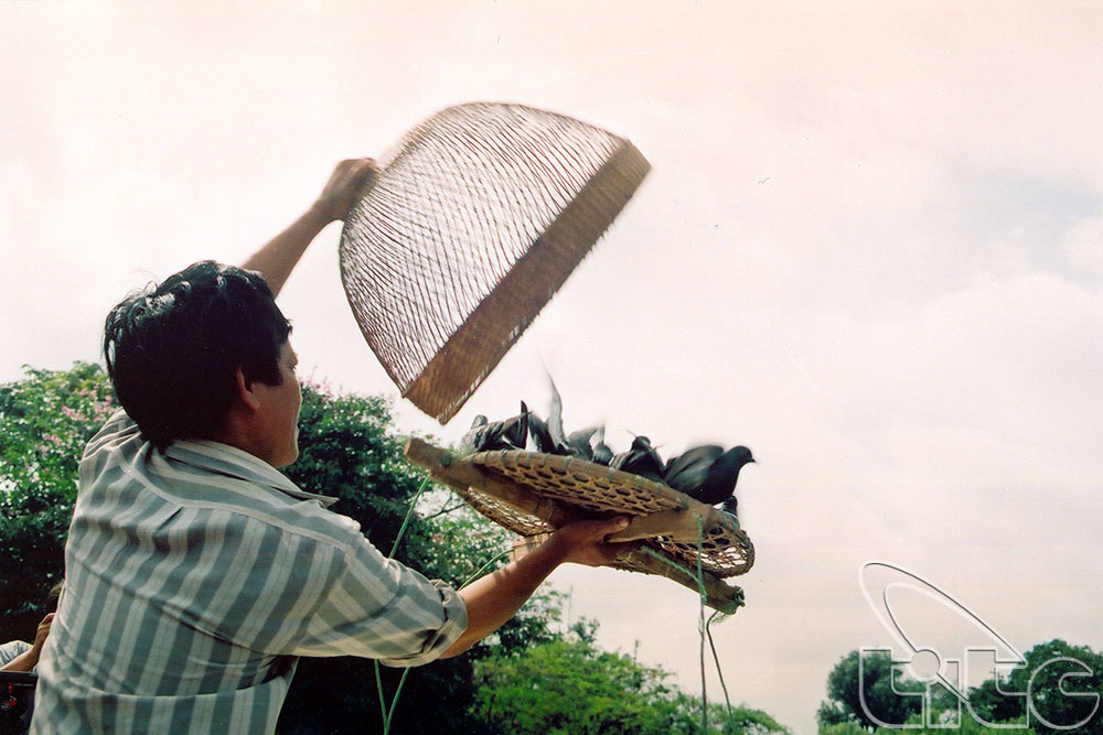 Hội thả chim làng Dục Tú