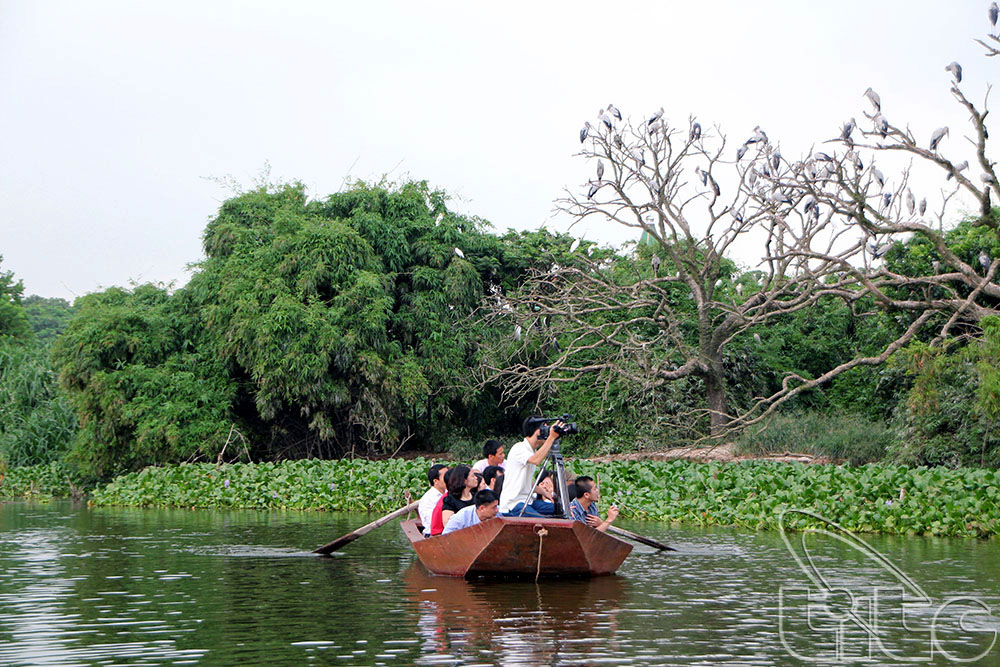 Hải Dương